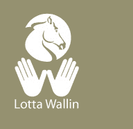 lottawallin.se