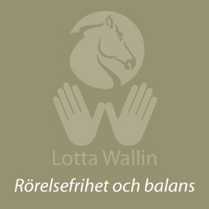 lottawallin.se